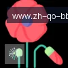 BB贝博体育 logo