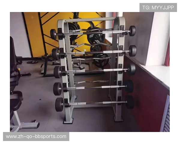 男士健身房专属器材推荐打造理想身材必备装备